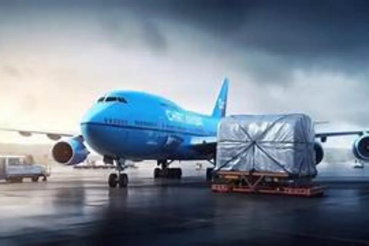 Airway Export