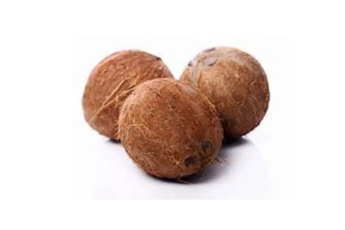 Coconut Cream