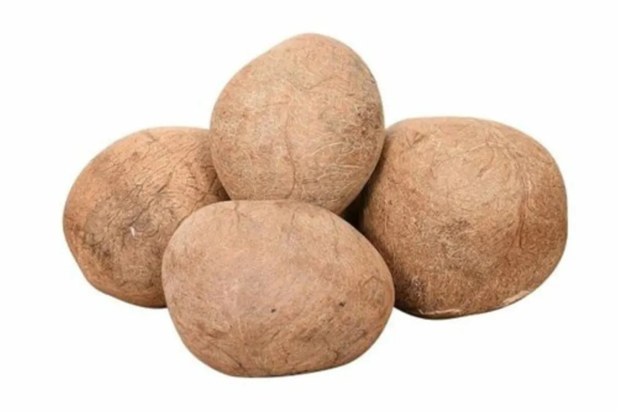 Coconut Flakes
