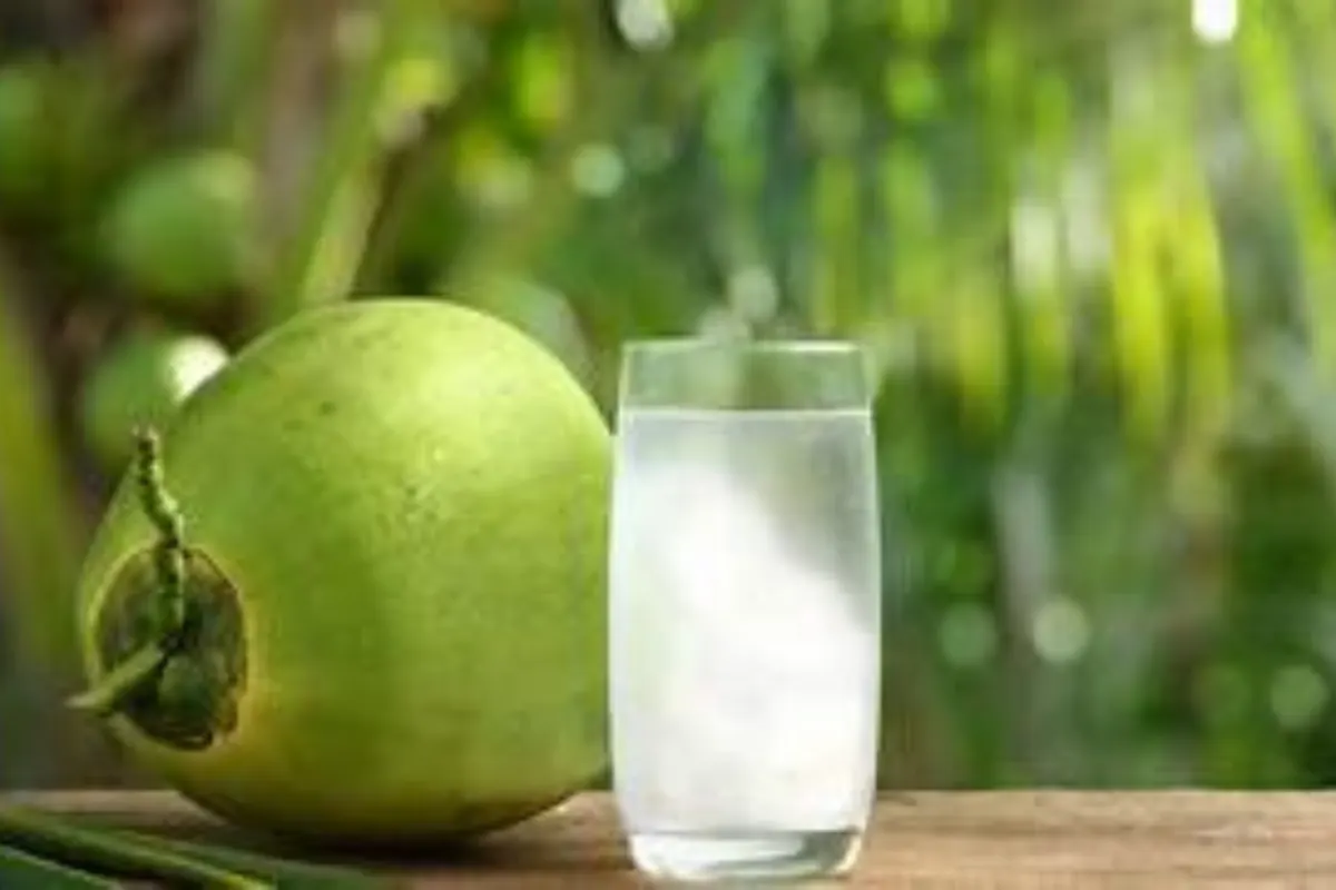 Desiccated Coconut Powder