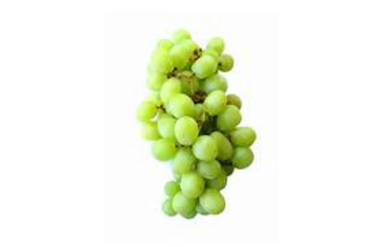 Grapes