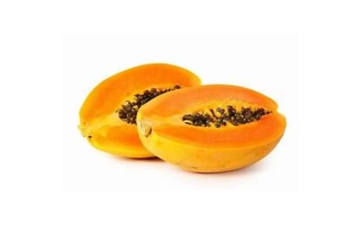 Papaya
