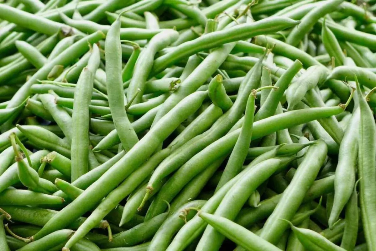 Beans
