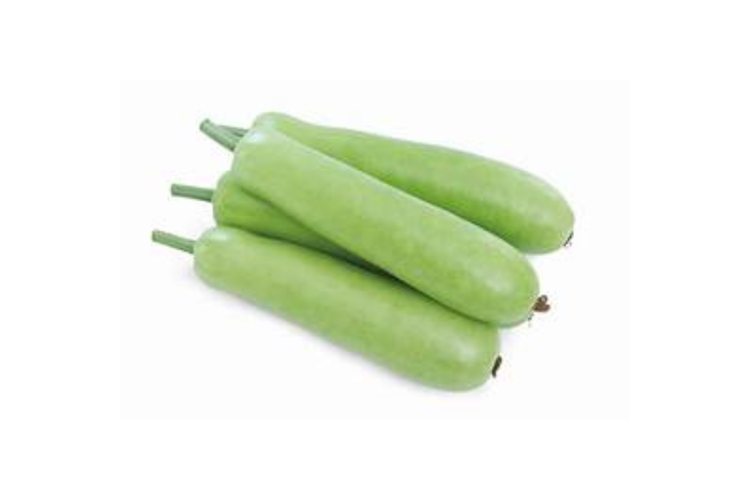 Bottle Gourd