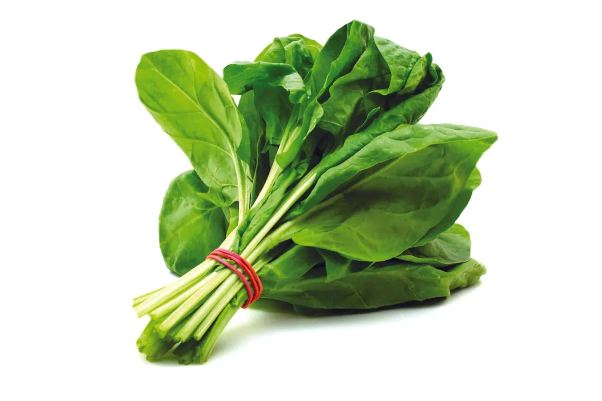 Spinach